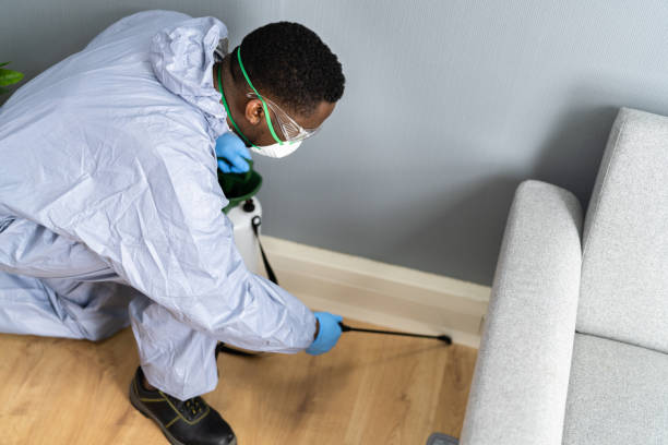 Best Residential Pest Control  in West Hempstead, NY